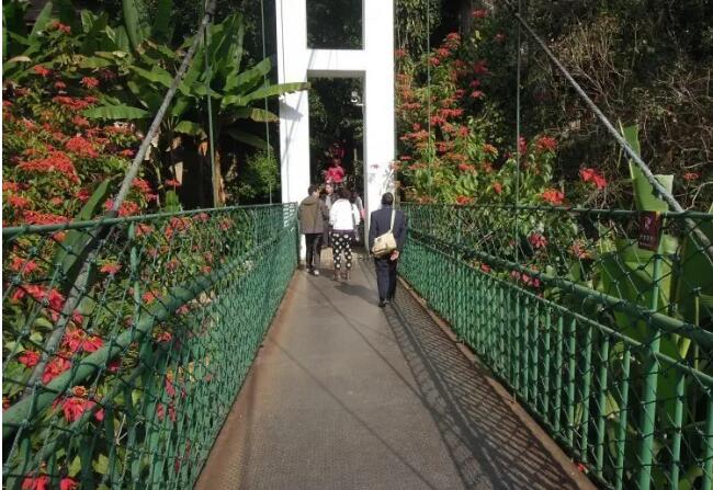 ��˫����ԭʼɭ�ֹ�԰��