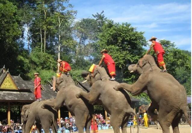 ��˫����Ұ��ȣ�