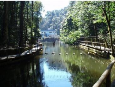 大围山国家公园,