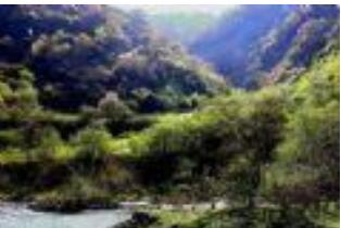 �Ĵ���������