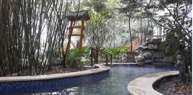 红珠山森林温泉,