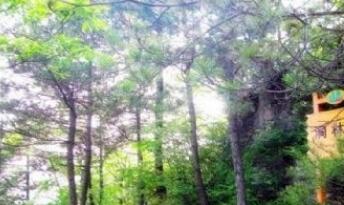 广元曾家山景区,