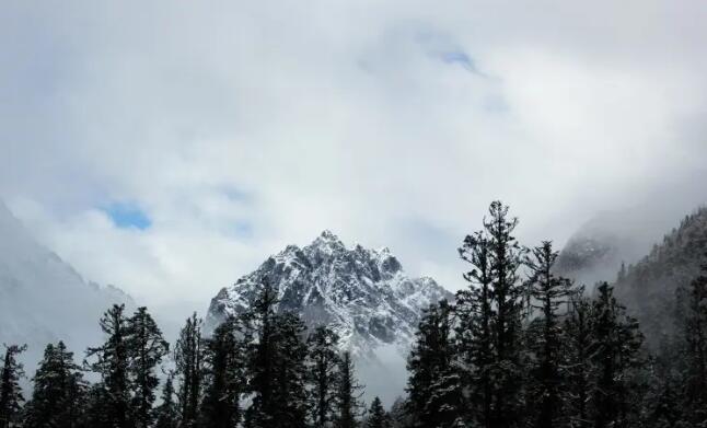 阿坝米亚罗风景区,