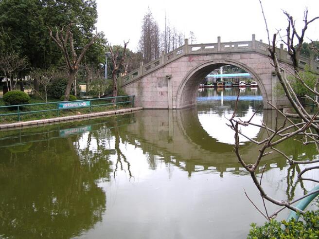 浦东滨江森林公园,