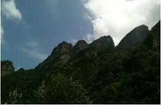 ̫�����Ͽɭ�ֹ�԰��