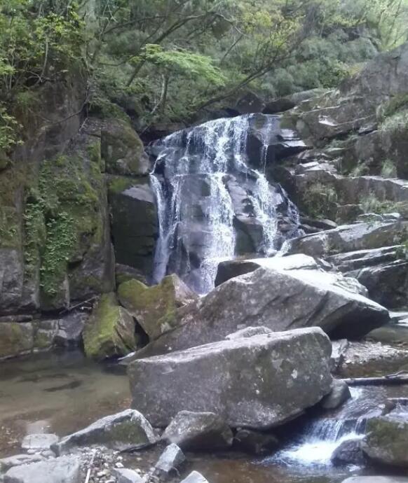 ľ������ɭ�ֹ�԰��