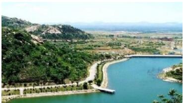 �����ĹȾ�����