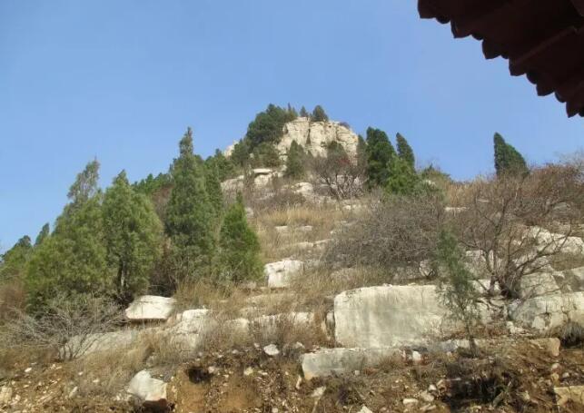 Ϋ��ʯ�ŷ���