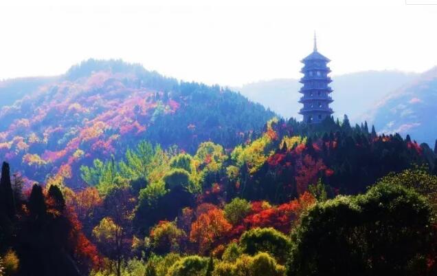 济南红叶谷,