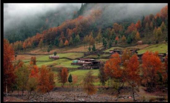 互助北山国家森林公园,