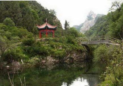 海南州同德河北森林,