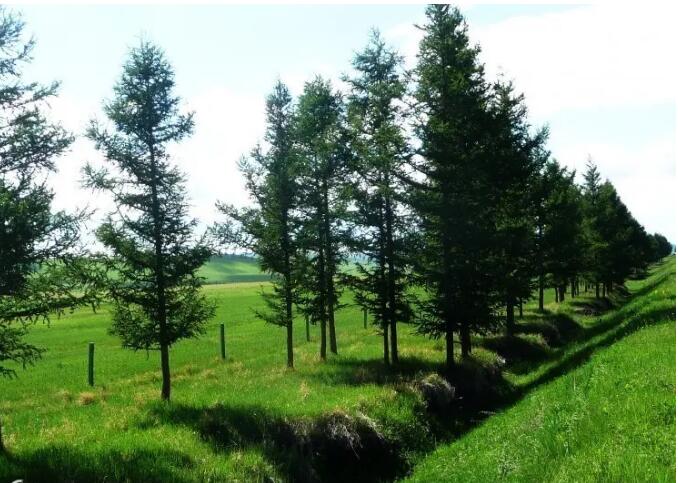 赤峰乌兰布统旅游区,