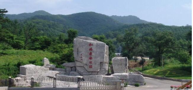 ��������ɭ�ֹ�԰��