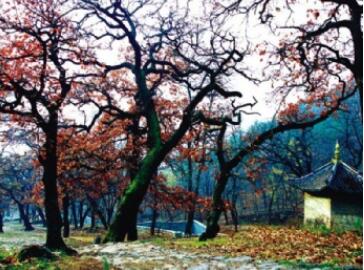 大孤山风景名胜区大孤山风景名胜区,