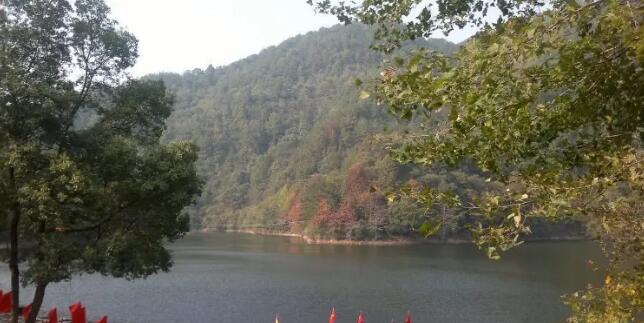 ����������������