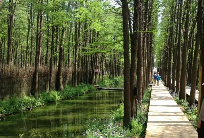 �˻�����ˮ��ɭ�ֹ�԰��