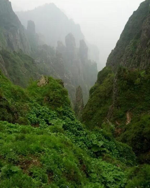 ��ũ�ȹ���ɭ�ֹ�԰��