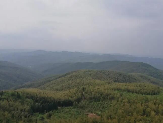 ���������񺣣�