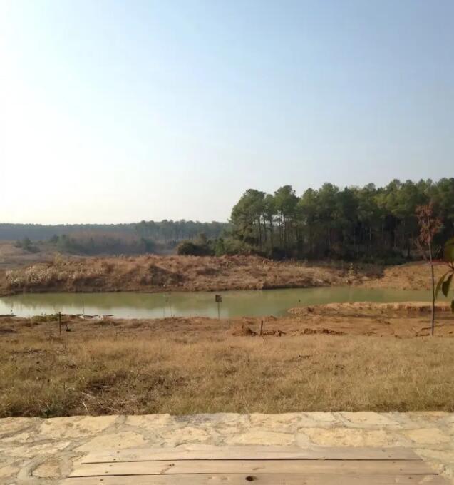 ̫��ɽ����ɭ�ֹ�԰��