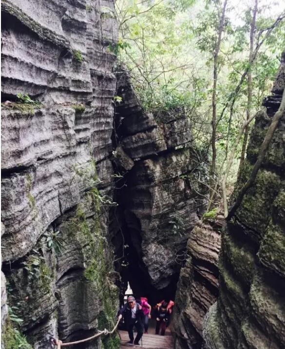 ����ʯ�֣�