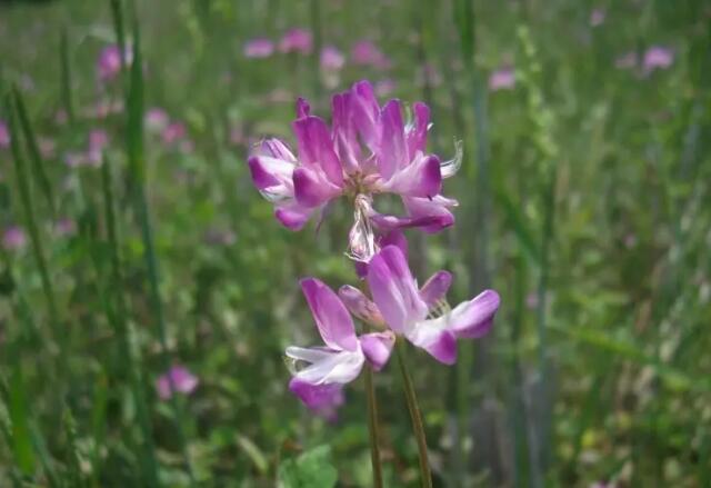 ���ݴ��ɽ��