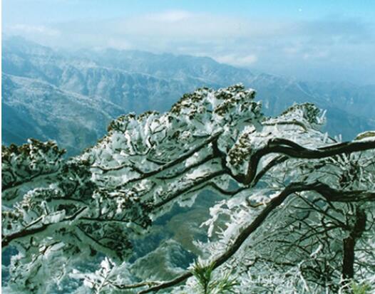 ��ũ������ԭʼ����̬������