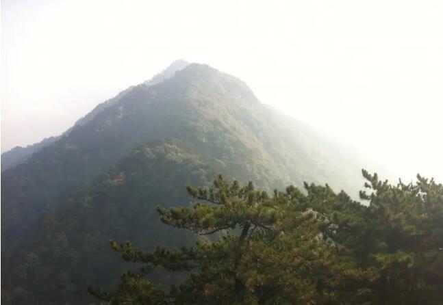 �ƸԴ��ɽ�����壬