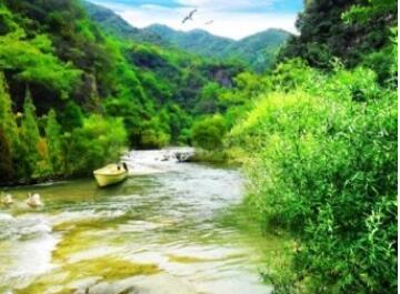 ��Х̲������