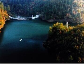 �����һ�����