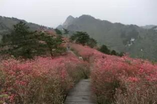 ������Ƕž黨ϪƯ����