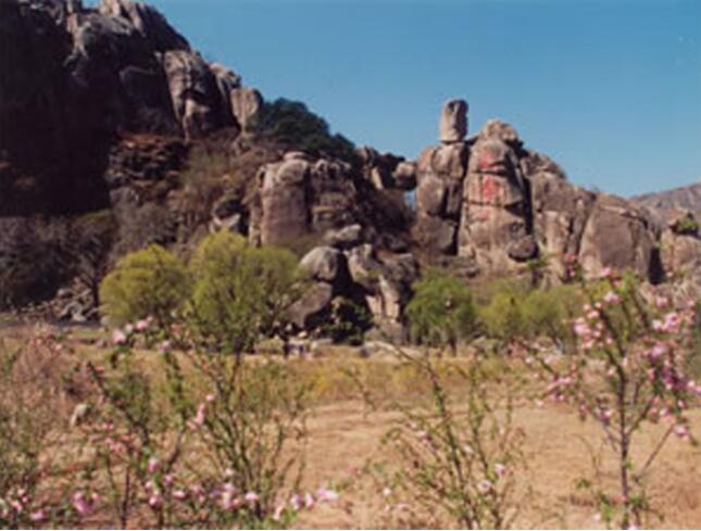 ���ٹ���ɭ�ֹ�԰��