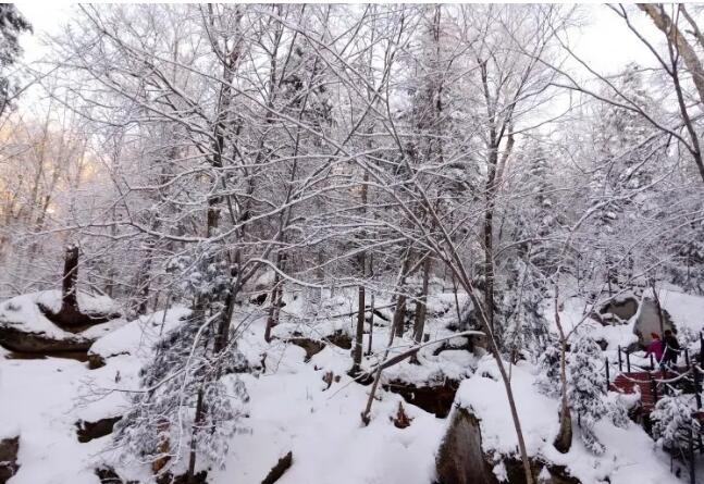 �ǲ��������룬