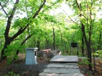 ʤɽҪ������ɭ�ֹ�԰��