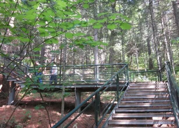 �ϸ���Ϫˮ����ɭ�ֹ�԰��