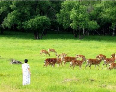 ���ԭʼɭ�ֹ�԰��