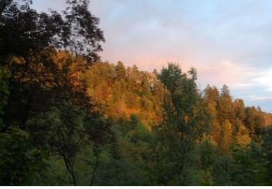 铧子山森林公园,