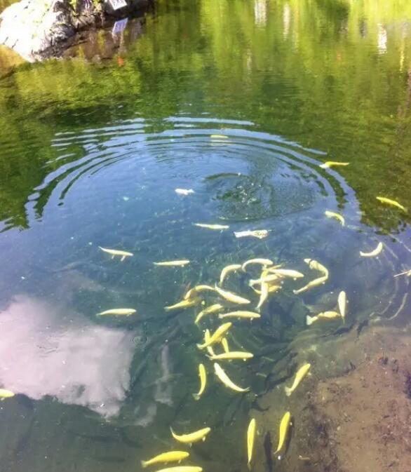 哈尔滨五常龙凤山,