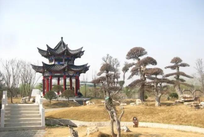 ֣���̲���