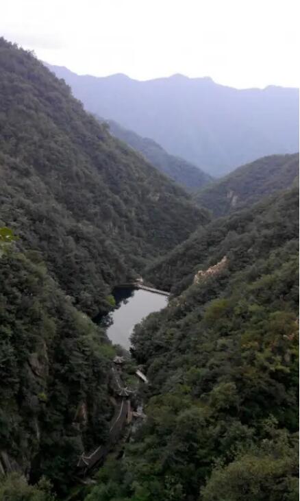 ��Ͽ��������̬��������