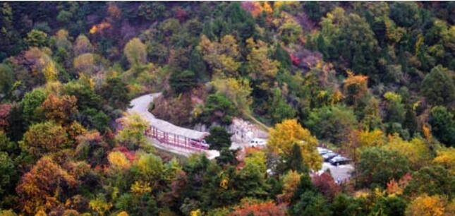 ����Ͽ��ɽɭ�ֹ�԰��