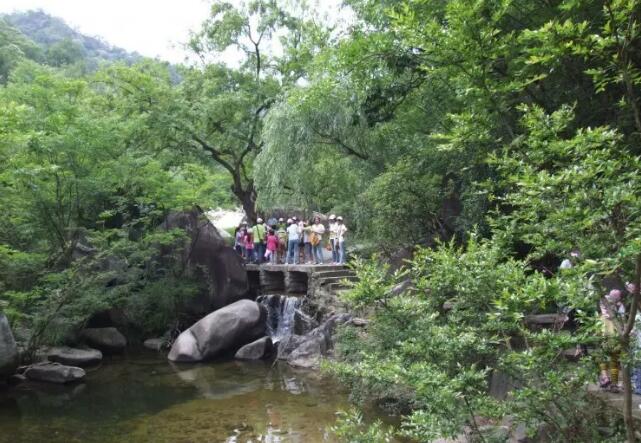 ������̶����