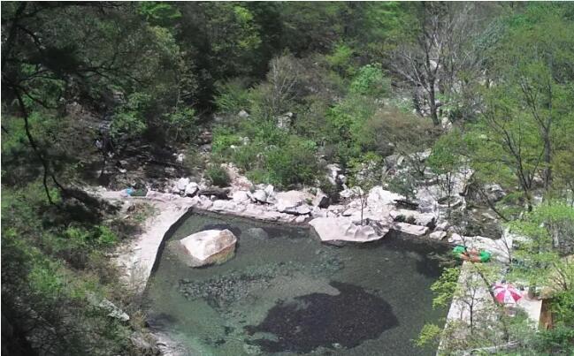 �����������ɽ��