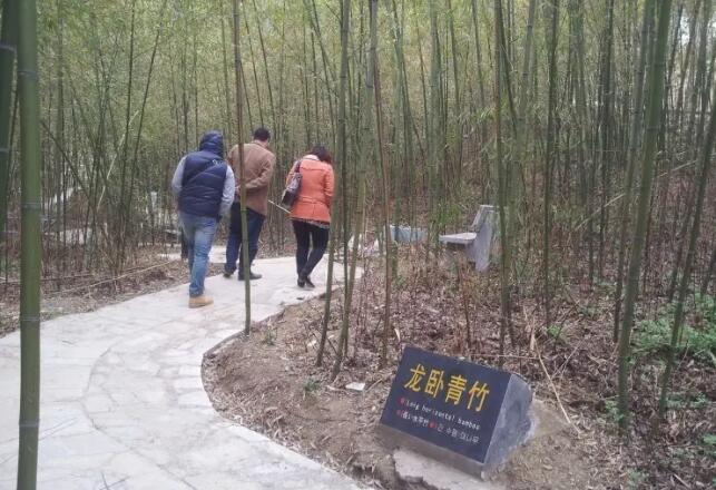 �ﴨѼʯ�춹ɼ������