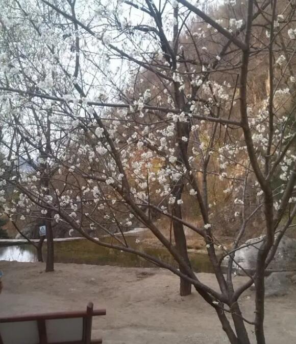 �ﴨ�����ȷ羰����