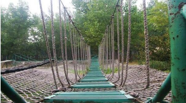 ���ִ�Ӫ��