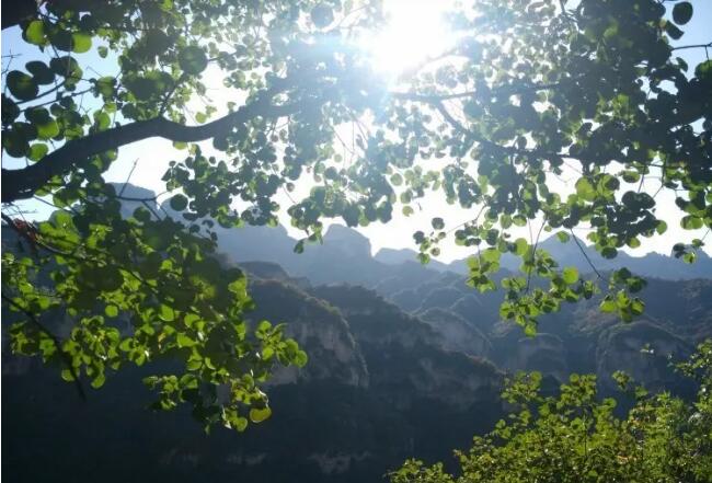 ����ɽ�羰����