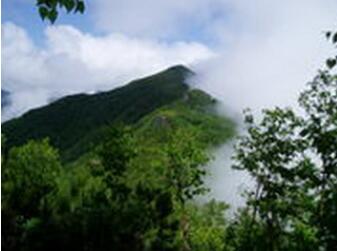 �䰲�仪ɽ��