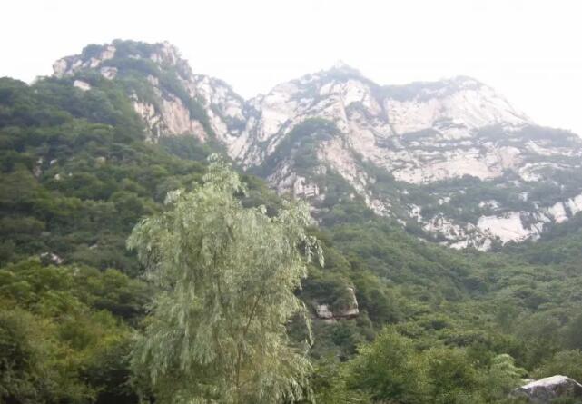 ʯ��ׯ����կ��