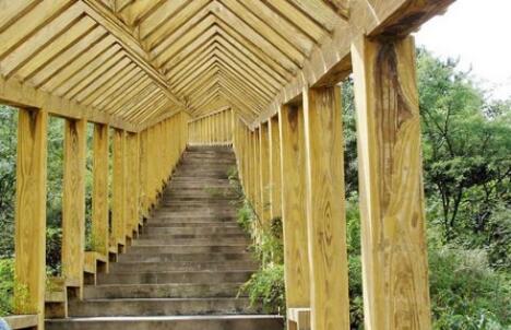 ���ؾŷ�ɽɭ�ֹ�԰��