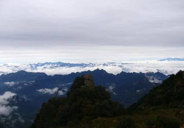 �ˮҰ���°ײ��ϣ�